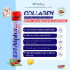 Thực Phẩm Bảo Vệ Sức Khỏe CHAlpha Plus  Collagen CH Alpha Plus Dạng Nước Hỗ Trợ Xương Khớp 25mlx30pcs (1)