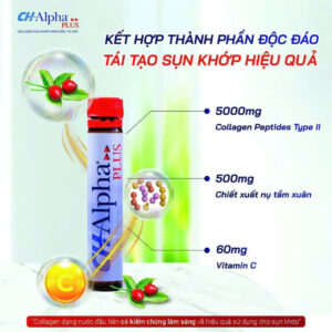 Thực Phẩm Bảo Vệ Sức Khỏe CHAlpha Plus  Collagen CH Alpha Plus Dạng Nước Hỗ Trợ Xương Khớp 25mlx30pcs (4)